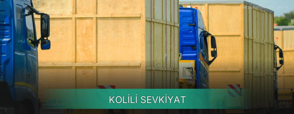 Erzurum Kolili Sevkiyat Ambar Firmaları