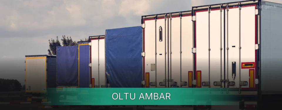 Oltu Ambar