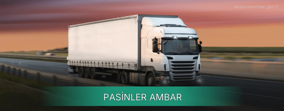 Pasinler Ambar